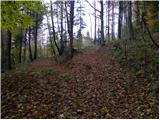 Spodnje Stranice (graves of hundred hostages) - Stolpnik